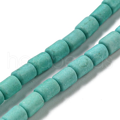 Dyed Synthetic Turquoise Beads Strands G-G075-A02-01-1