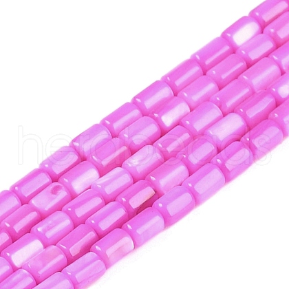 Natural Freshwater Shell Beads Strands BSHE-H109-17B-1