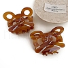 Bear Cellulose Acetate(Resin) Claw Hair Clips PW-WG44151-01-2