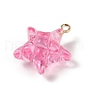 Transparent Resin Pendants RESI-Z016-02D-LG-2