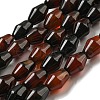 Natural Agate Beads Strands G-A223-C10-01-2