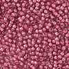 TOHO Round Seed Beads X-SEED-TR08-0959-2