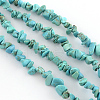 Chips Dyed Synthetical Turquoise Beads Strands TURQ-Q099-35-1