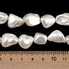 Shell Pearl Beads Strands X1-BSHE-C008-01-4