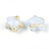 Transparent Resin Enamel Beads RESI-N043-02B-2