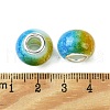 Two Tone Glass European Beads GPDL-K003-01F-3