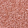 MIYUKI Delica Beads SEED-J020-DB1863-3