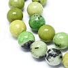Natural Serpentine Beads Strands G-F576-01-10mm-3
