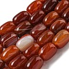 Natural Banded Agate/Striped Agate Beads Strands G-A223-D12-01C-2