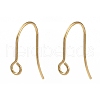 316 Surgical Stainless Steel Earring Hooks STAS-P162-13G-B01-1