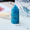 Point Tower Natural Apatite Home Display Decoration PW-WG91959-03-4