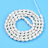 Natural Cultured Freshwater Pearl Beads Strands PEAR-N012-03Q-01-3