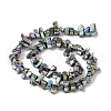 Natural Freshwater Shell Beads Strands BSHE-H018-07E-2
