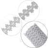 Polyester Lace Ribbons OCOR-WH0082-20B-6