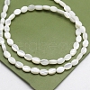Natural White Shell Mother of Pearl Shell Beads BSHE-CJC0002-05-1