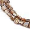 Natural Trochus Shell Beads Strands BSHE-Q050-01A-3
