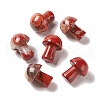 Natural Red Jasper GuaSha Stone G-A205-26C-1