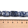 Natural Blue Spot Jasper Beads Strands G-S386-A05-5
