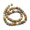 Natural Fossil Coral Beads Strands G-I254-01B-2