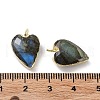 Natural Labradorite Pendants G-G012-11G-06-4