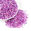 Electroplate Glass Seed Beads GLAA-SZC0007-02A-3