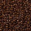 MIYUKI Delica Beads SEED-X0054-DB2142-2