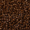 MIYUKI Delica Beads SEED-X0054-DB2142-1