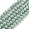 Natural Amazonite Beads Strands G-L618-A01-6mm-2