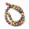 Natural Leopard Skin Jasper Bead Strands G-R345-8mm-30-2