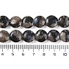 Natural Glaucophane Beads Strands G-C141-E01-02-5