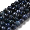 Faceted Natural Fire Crackle Agate Beads Strands G-F447-12mm-N16-2