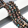 Natural Howlite Beads Strands G-Q017-C03-04-2