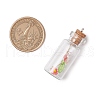 Glass Jar Glass Bottles Pendants PALLOY-JF03613-2