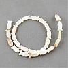 Natural Sea Shell Beads Strands SSHEL-Q296-39-1