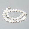 Natural Freshwater Shell Beads BSHE-I011-01E-02-2