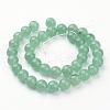 Natural Green Aventurine Beads Strands GSR10mmC024-3