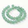 Natural Gemstone Beads Strands GSR10mmC024-3