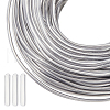 SUPERDANT 30M Aluminum Wire AW-BC0003-37B-1
