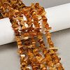 Natural Amber Chip Beads Strands G-E271-81-6