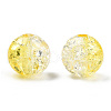 Transparent Crackle Acrylic Beads CACR-N004-01A-3