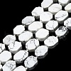 Natural Howlite Beads Strands G-K245-K02-01-1