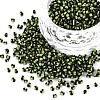 12/0 Glass Seed Beads SEED-S005-10-1