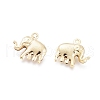 304 Stainless Steel Charms STAS-H413-13G-2