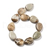 Natural Picture Jasper Beads Strands G-P528-L24-01-3