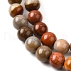 Natural Picture Jasper Beads Strands G-S390-07-6mm-4