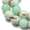 Natural Green Opal Beads Strands G-R494-A08-02-3