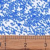 MIYUKI Delica Beads SEED-X0054-DB2134-3