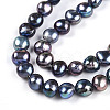 Natural Cultured Freshwater Pearl Beads Strands PEAR-N014-06G-06-4
