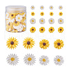 Craftdady 160Pcs 8 Style Resin Cabochons CRES-CD0001-03-1