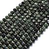 Natural Kambaba Jasper Beads Strands G-P573-A61-01-2
